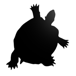 Näyttökuva-2022-01-13-170908.png STL-Datei Schildkröte Wanddekoration・Modell zum Herunterladen und 3D-Drucken