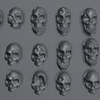 skull-pack-full.jpg Skull pack