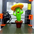 IMG_20220721_181851.jpg Mr. Happy Cactus