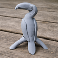 org.png Hornbill