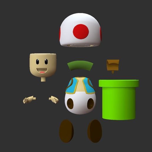 All-part-of-toad.jpg Mario - TOAD