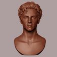 13.jpg Timothee Chalamet bust sculpture 3D print model