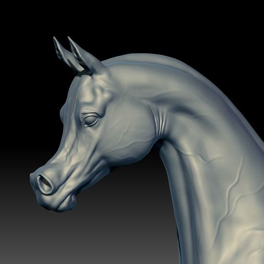 10.jpg Arabian Horse