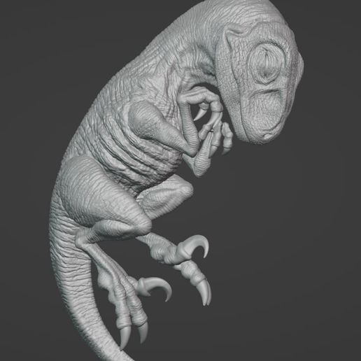 👶 Baby Raptor Sleeping Velociraptor Baby Sleeping・ STL File