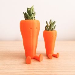 c01.jpg Free STL file Cute Carrot Shaped Succulent planter・3D printing model to download