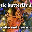 533298f4-56cd-42af-bb32-d2c9ee8a9b0e.jpg Robotic moving micro butterflys
