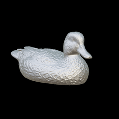 Duck Fresh Discs Applicator by Pdor_Projects, Download free STL model