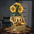 Addams-Family-Thing-pot-plant.jpg Ding, Topfpflanze (Die Addams Family)