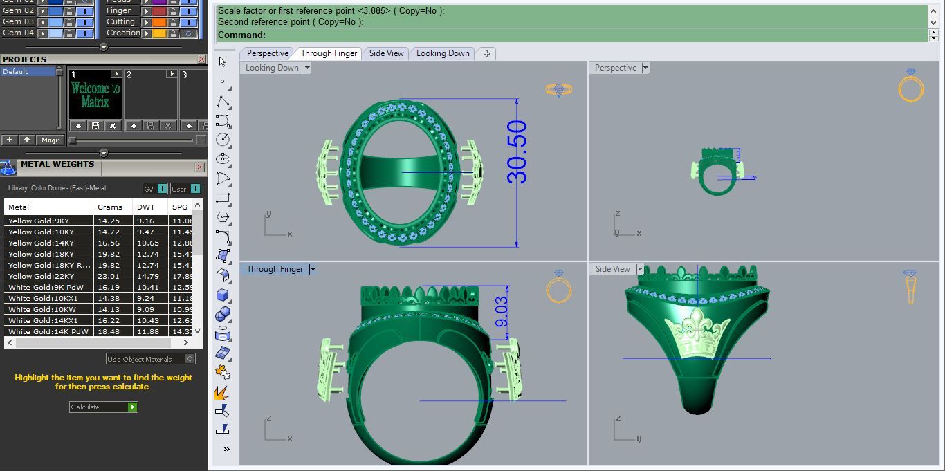 Capture.jpg Descargar archivo OBJ RING R 63 • Diseño para impresión en 3D, Regalia3D