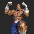 Sagat-.451.jpg SAGAT
