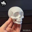06_cute_skull_V1_beastmaster_minis1.jpg Симпатичный череп на Хэллоуин