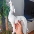 7-FOTO-MANO.jpg PAT THE DOG - LAMPE / DECO