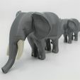IMG_4238-(2).jpg African Elephant Mama & Babies