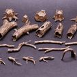 final-DeNoiseAI-standard.jpg Tree Roots, Stumps, Trunks, Branches - for Basing