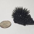 20191108_214503.jpg Бесплатный STL файл Cute Porcupine・Шаблон для 3D-печати для загрузки