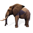 008.png Низкополигональный слон Саванна 3D модель