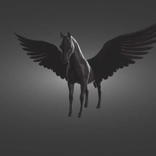 flying horse photography