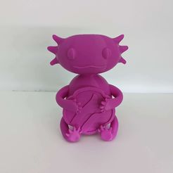 Pinkcookie-Front.jpg Файл STL CookieTheAxolotl・3D-печатная модель для загрузки