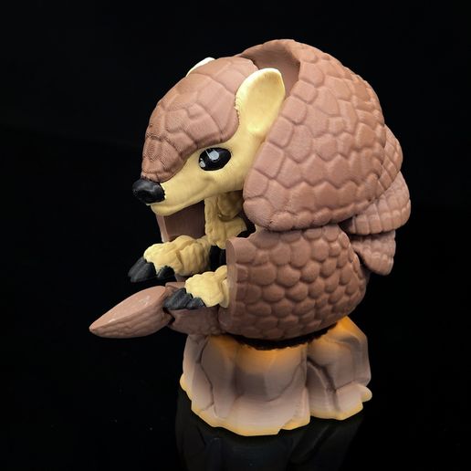 1000007789.jpg Armadillo - Articulated Cute