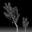 2.jpg CAMOUFLAGE PINE BRANCHES FOR DIORAMAS