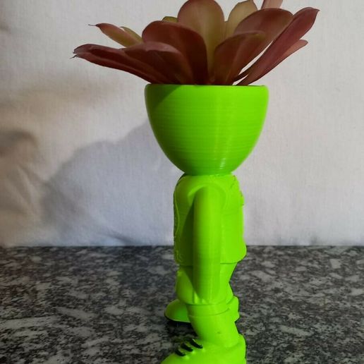 04.jpeg robert palm trees