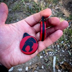 Thundercats Keychain