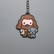 IMG_2839.jpg 5 Harry Potter 3 Keychains