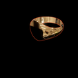 snapshot-5.png anel redondo 3D