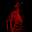 4.png 3D Model of Heart and Cardiovascular System