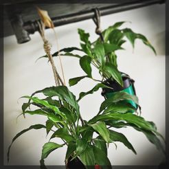 Self-Watering Planter (Small)