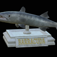 Barracuda-huba-trophy-13.png fish great barracuda statue detailed texture for 3d printing