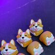02.jpg Puppy Corgi keycaps - Mechanical Keyboard