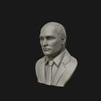14.jpg 3D Sculpture of Vladimir Putin 3D printable model