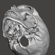 Screenshot-2024-04-04-145333.png Anatomically correct human skull