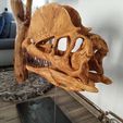 dilophosaurus-skull-part-2-2-3d-printing-238753.jpg Dilophosaurus Skull