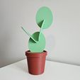 20240404_165954.jpg Cactus in a pot Coasters - Commercial License
