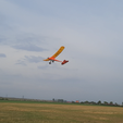 In-flight1.png Simple Dragonfly RC Glider