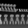 ZBrush-Document7.jpg Kapitänin