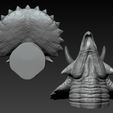 02.2.jpg Triceratops Head