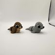 d5bdbcc8-7609-4aaf-a4b1-2a9c1224414c.jpg 🦭 A adorável foca Flexi🌊