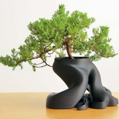 gcreate_bonsai_fullsize.jpg Archivo STL gratuito Jardinera de Bonsái (Nuevo modelo HD con más de 1.100.000 triángulos)・Design para impresora 3D para descargar, gCreate