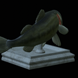 Bass-stocenej-6.png fish bass trophy statue detailed texture for 3d printing