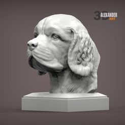 cluster-spaniel-bust-1.jpg clumber spaniel bust 3D printed model