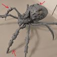13_2.jpg Grounded 2- Max and Orb weaver Spider
