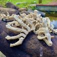 tempImagexoPcGq.jpg SKELETON WYVERN, FLEXI PRINT IN PLACE MODEL