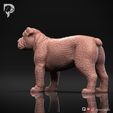 Bulldog-Pose-02-Dog-3D-Print-7s.jpeg Bulldog Dog 3D Print Model Pose 02
