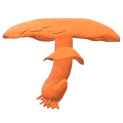 frontal-800x800px.jpg Mushroom. Didactic 3D.