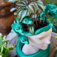 DSC04873.jpeg Medusa Planter