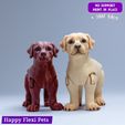 13.jpg Labrador retriever realistic dog articulated flexi toy (STL & 3MF)