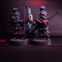 20230904_232108.jpg The Cataphract - Expansion Pack - Darkest Dungeon Inspired Hero for the Boardgame